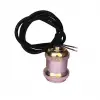 Gold Filament Bulb Holder