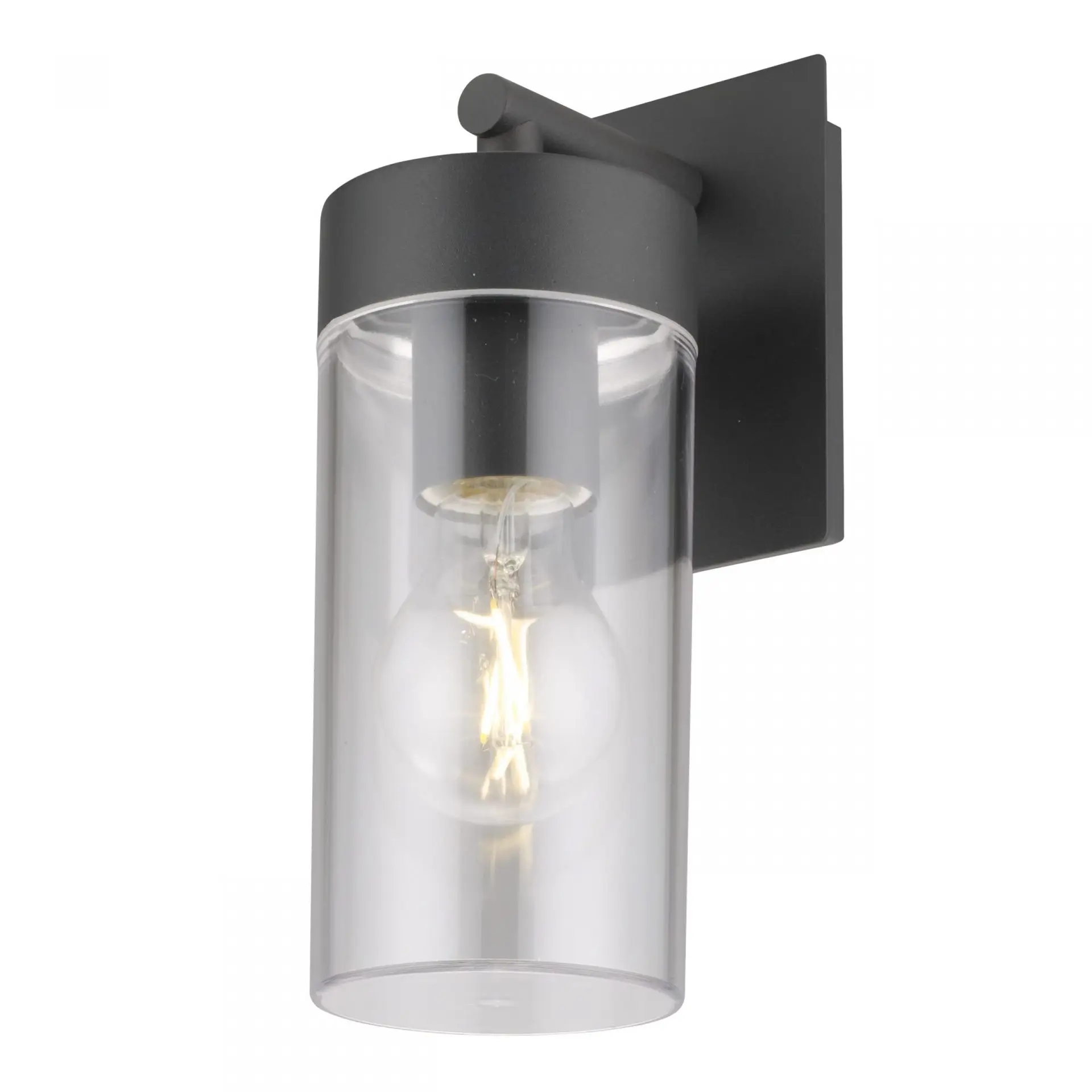 Clear Polycarbonate Outdoor Wall Light WL-B11 Clear Polycarbonate Outdoor Wall Light WL-B11