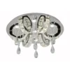 Ring Crystal Ceiling light