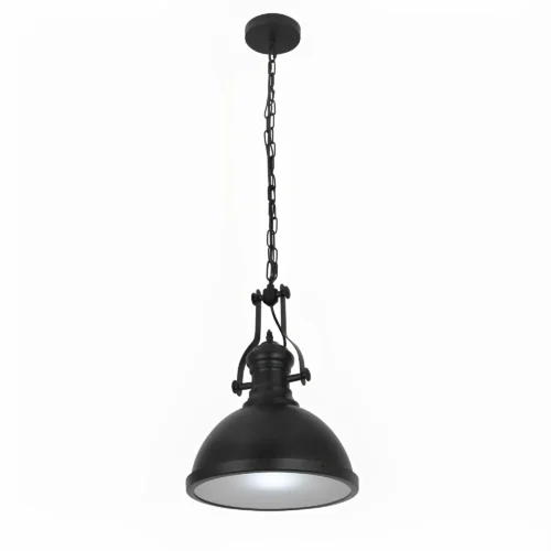Black Hanging Pendant Lamp