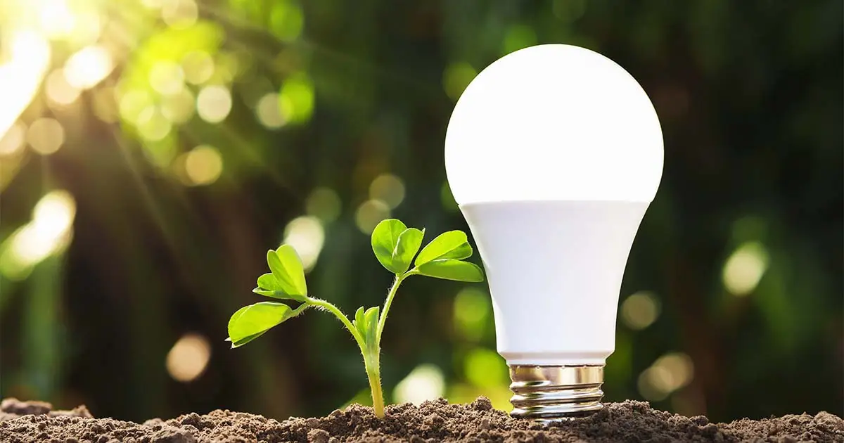LED Bulb Lighting : A Comprehensive Guide