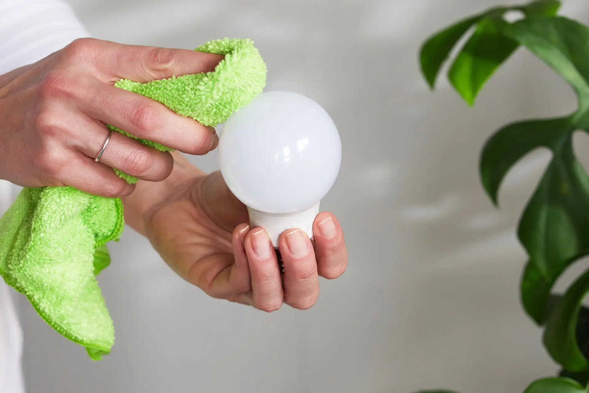 Led light bulbs