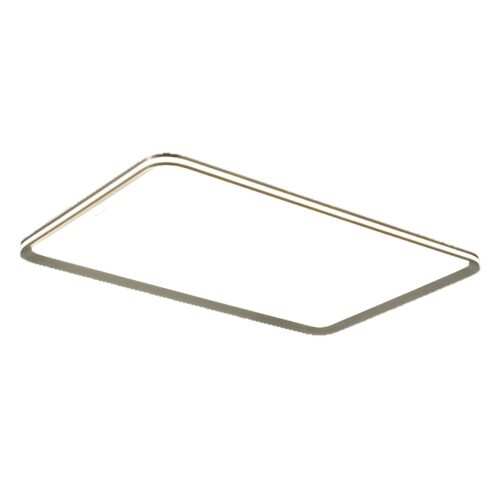 Modern Gold Flush Rectangle Ceiling Light CP181